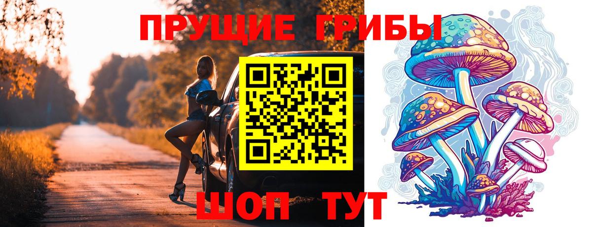 Галлюциногенные грибы Cubensis  Псилоцибиновые грибы MAGIC MUSHROOMS  магазин продажи   Нарткала  Вход с VPN 